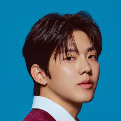 Dgram25's profile picture. 🐻🦊🐰🐶 / 3n🍀