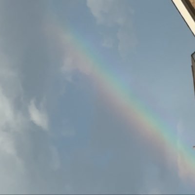 moodiiEsT's profile picture. here to yap about boxing