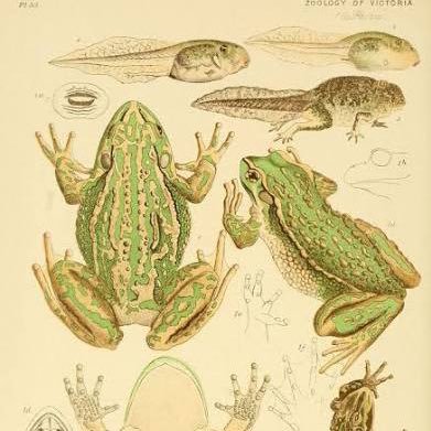 guyhartstein's profile picture. web agents @tavilyai | cs + econ @columbia