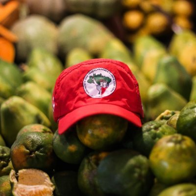 🚩Twitter oficial da Página do Movimento dos Trabalhadores Rurais Sem Terra (MST). Acesse nossa Página, redes sociais e compre produtos da Reforma Agrária 👇🏾