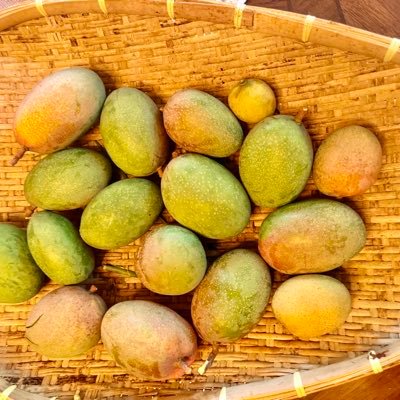 പ്രൊഫഷണൽ സമയത്തിനുശേഷം തനി ഊള Treat people equal, living the life. (NO DM auto block) j'apprécie votre compréhension. Made in 🇮🇳 Live in🇨🇮🇲🇽. M