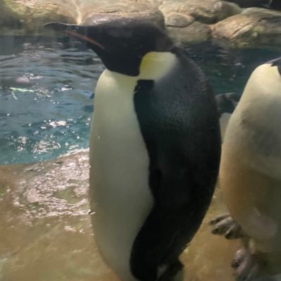 カツヤ (@cofz73n6ct39563) / Posts / X