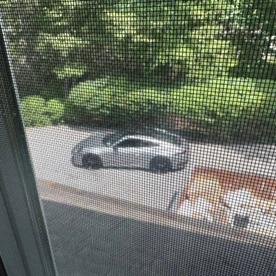 ZamboNNNi_88's profile picture. 