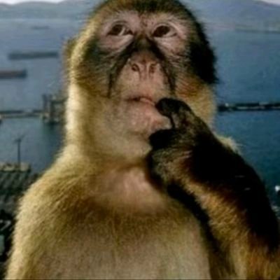 yerbob22's profile picture. a random person on the internet