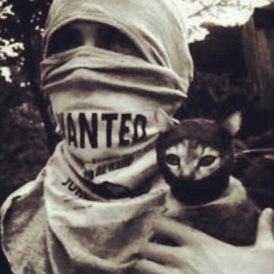 bss_ck's profile picture. 