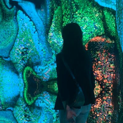 Digital art curator👾 Joséphine Louis, co-founder @fu2ionagency, curator @artcrushgallery, Art Collection Manager @thesandboxdao