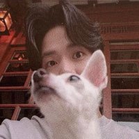 와이케이 (@why_ke95) 's Twitter Profile