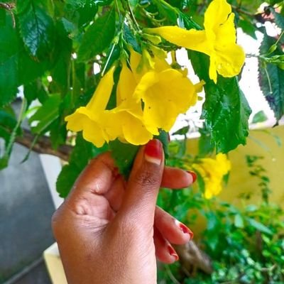 தேடல்களும்...
மன்னிப்புகளும்...
அவமானங்களும்...
நேசிப்பவர்களுக்கு மட்டும் தான்