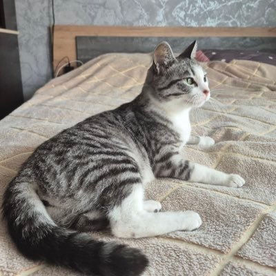 russian osu player: https://t.co/fMOs68J4Ib ; twitch: https://t.co/9kf0pVxHr4 ; TG: https://t.co/eoimhHmVV2 ; 19 y.o.
