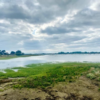 neanderthalean's profile picture. Here for pro cycling and physics gossip