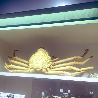 morningmoon_A7's profile picture. ベボベと映画が好きなお爺さん92歳