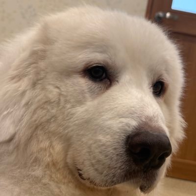 七斗さんのプロフィール画像