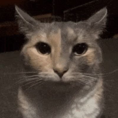 LeoDaWeeb's profile picture. 24 · Discussing mainly anime and video games