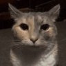 LeoDaWeeb's profile picture. 24 · Discussing mainly anime and video games