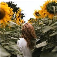 AnnGallup (@i3yo61zu0kpc2fv) 's Twitter Profile