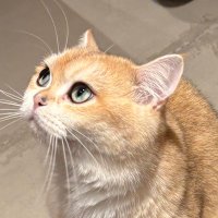 まんまる◯ (@manmaru_o01) 's Twitter Profile