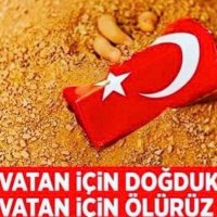 Metin4_4 (@metin4_4) 's Twitter Profile