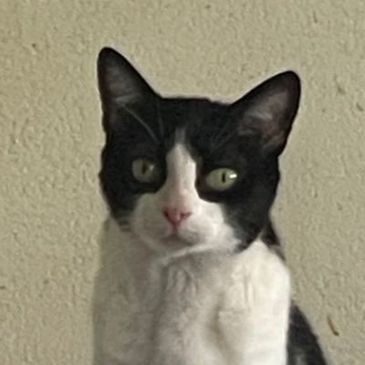 ale1919ale's profile picture. 