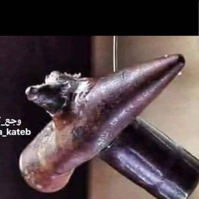 أن حكم الغرباء قد يكون أرحم من فساد أبناء الوطن.
اليمن بلادي 🇾🇪 🐴🇾🇪والقلم سلاحي