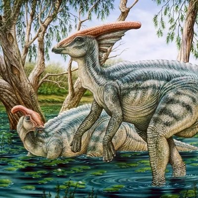 @UTM MSc paleontology student studying tyrannosaur hindlimb pathologies to test the defensive function of ankylosaurid tail clubs