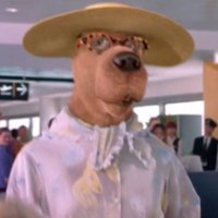 brycie (@brycescene) 's Twitter Profile Photo brycie (@brycescene) 's Twitter Profile Photo