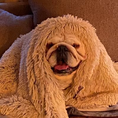 S76182Sherry's profile picture. Trump/Vance 2024 🇺🇸 #NOBALLSINOURSTALLS * NO DMS!!!