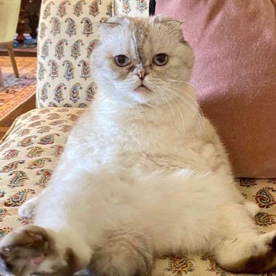 c_hero08's profile picture. 