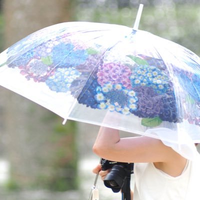 miri_8282mam's profile picture. 📷OM-D-EM1-MARKⅢ / iPhone14pro/ 猫好き/ 🎹ピアノ弾き/短歌/美術館/ゴルフ/ 日本酒/山/里山/ 写真、絵、花を見るのが好きです 🌸 🌸🌷🌷🗻 投稿された写真を楽しく拝見しています フォロー無言で失礼します