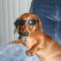 k 🍸 (@sharedsmoke11) 's Twitter Profile