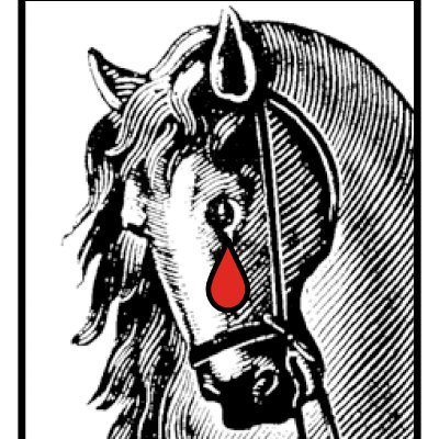 Nonprofit equine protection organization founded in 1996. Follow us on other social media platforms: https://t.co/8HpgTUgplS