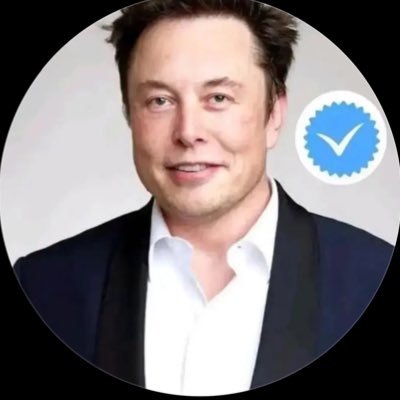 emusk1e_k's profile picture. CEO Tesla Motors & Space X