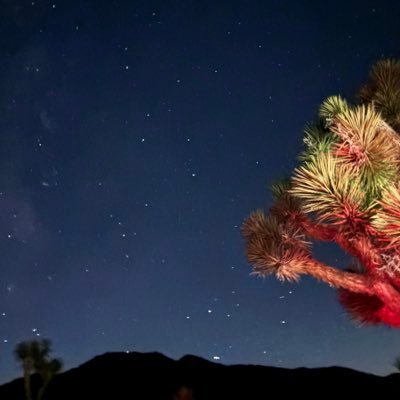 phillydrew101's profile picture. 