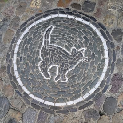 vic77s's profile picture. 