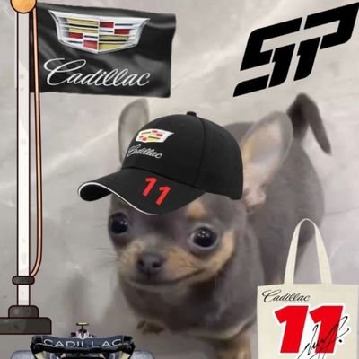 Viva Checo, Humbe, Pato, Oscar y Taylor Swift, los demás unos pendejos 🏎️ 📚 🎤 ♡
“Todo lo que importa es no tener miedo y luchar por tus sueños”
#NeverGiveUp
