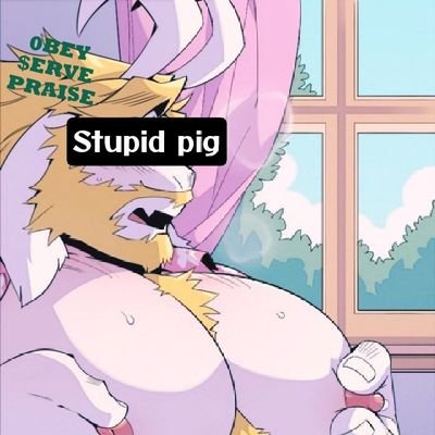𝐒𝐈𝐋𝐋𝐘 𝐏𝐈𝐆 𝐎𝐅: @Draco_breeder (𝐌𝐲 𝐩𝐨𝐰𝐞𝐫𝐟𝐮𝐥 𝐬𝐮𝐩𝐫𝐞𝐦𝐞 𝐝𝐞𝐢𝐭𝐲)