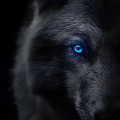 DomDrue's profile picture. 25m, 185cm