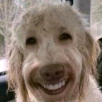Clovis500c2 (@theclovis500c) 's Twitter Profile