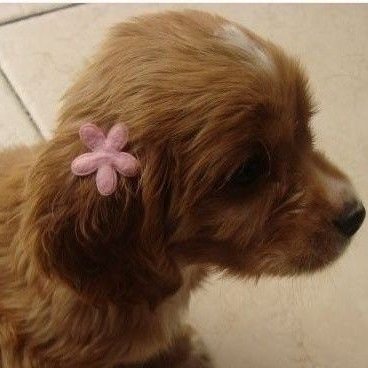 miffievida's profile picture. 20 ⭑ eu server | i tweet nonsense !!! mdni ・❥・ https://t.co/CIkSlWT9Dl