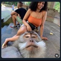 B.I.G_H (@big_dawg_harry) 's Twitter Profile