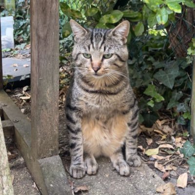 nakata_95's profile picture. deuxième compte 🤚🏼