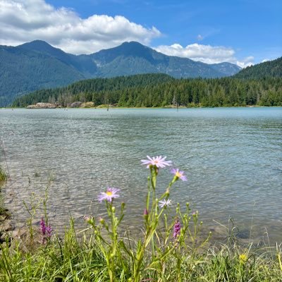 neveragain9654's profile picture. 