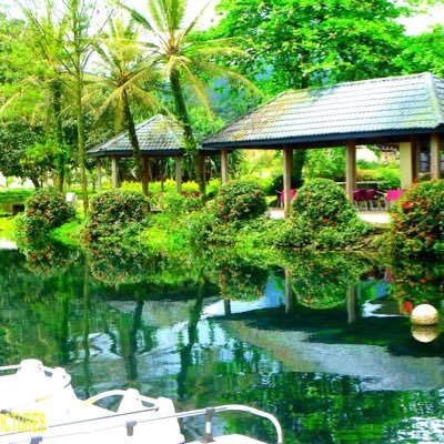 all_about_237's profile picture. Wild, Beautiful, Unforgettable 🇨🇲🇨🇲