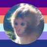 furbsodas's profile picture. i like hlvrai the normal amount. i think 📺 priv: @freelattayuri