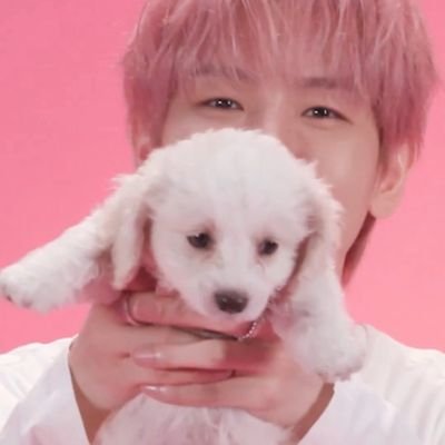 Baekhyun said hi to me 💖
EXO L and Carat for life 🤍🩷🩵
Saw Seventeen in 2024✨️
Saw Baekhyun in 2025 🫶
EXO 🔜