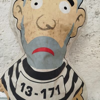 AnunciacaoSitio's profile picture. conservador com Bolsonaro até o fim