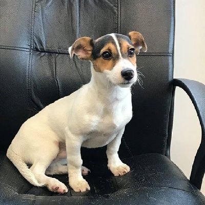 TonySquiggs's profile picture. 