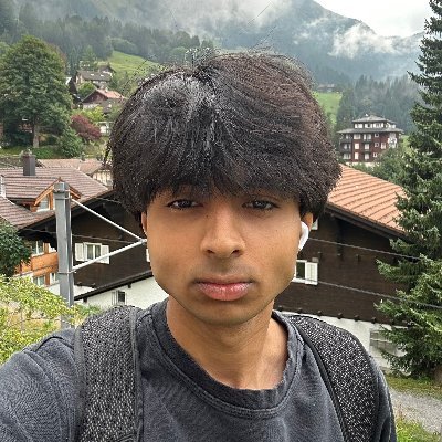 vidhanio's profile picture. software dev. they/he
