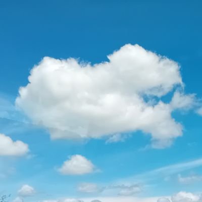 GuyfromthEfog4's profile picture.