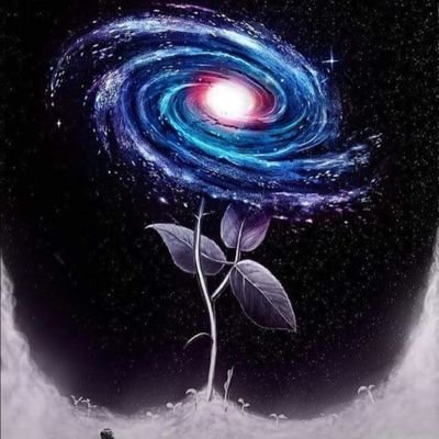 Dylan25628491's profile picture. 