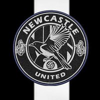 𝑵𝒆𝒘𝒄𝒂𝒔𝒕𝒍𝒆 𝑳𝒆𝒈𝒊𝒐𝒏 🖤🛡️🤍 (@nufcmx_) 's Twitter Profile